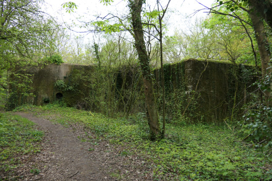 Bois de Beauregard