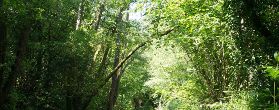 Parc de la Brague, accès route des Macarons