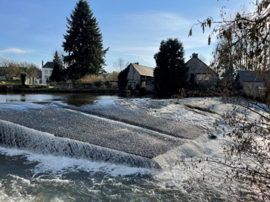Bords de l’étang