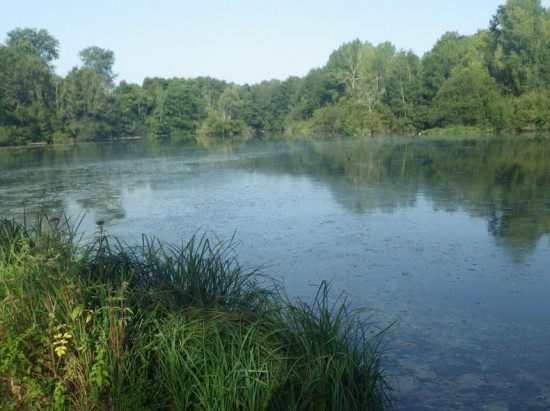 Étangs de Lavilletertre