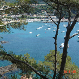 mdou031