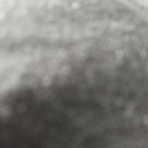 Fredopenis26
