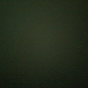 {member_username}