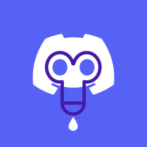 Branle cam Discord