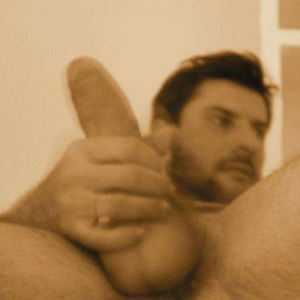 volpe