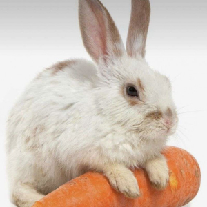 Matepompeur
