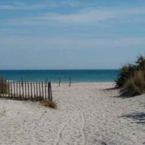 Naturisme et branle plage Montpellier