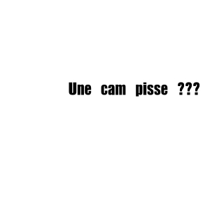 Pisse en cam (moins fun mais ça dépane)
