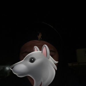 metisbmversa