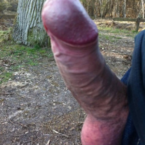 mecrambouillet